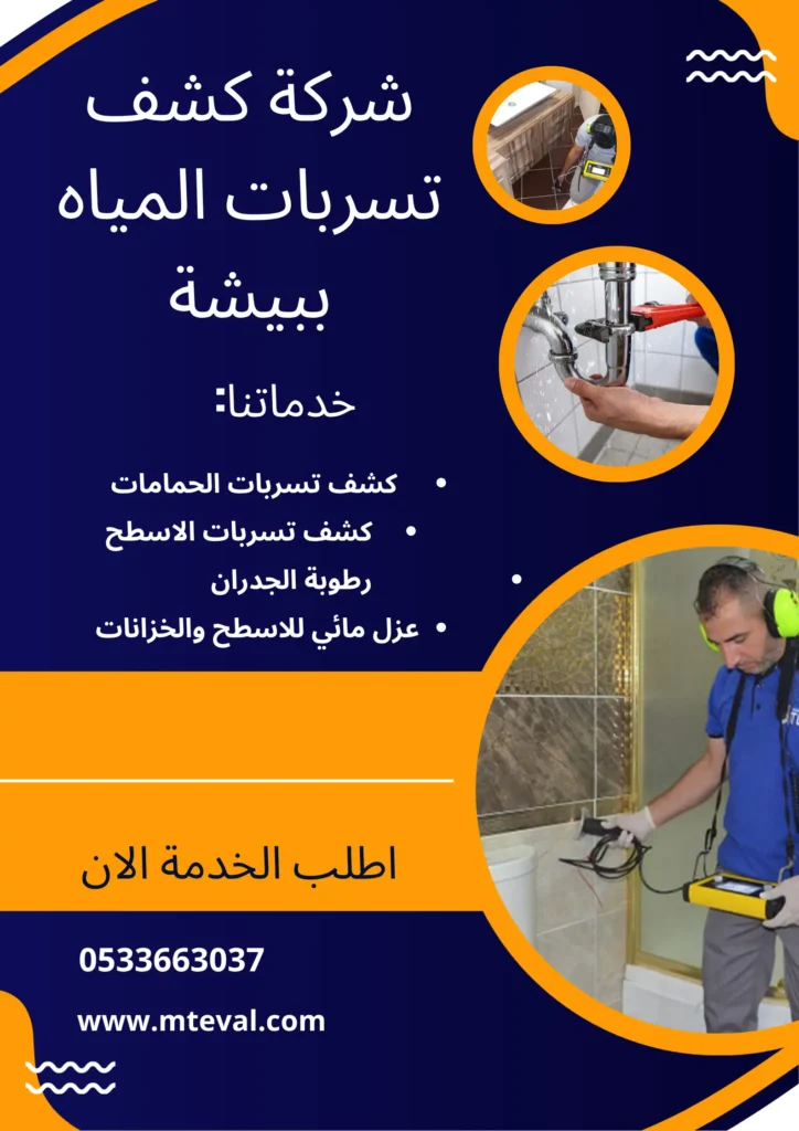 شركة كشف تسربات المياه ببيشة